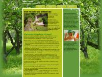 Irish Hostels Irish Hostels