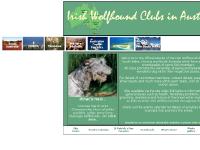 What's New?  What's New?