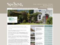 Iron Orchid Iron Orchid