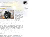  Links and Info, Stud, Pomeranian Puppies, Puppies