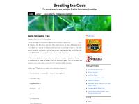Breaking the Code | On a continuous quest for better English learning and teaching