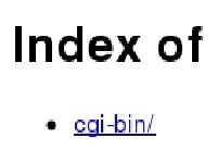 Index of /