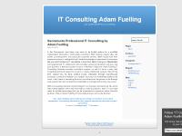 IT Consulting Adam Fuelling IT Consulting Adam Fuelling