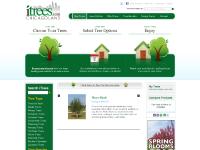  Tree Benefits, Design Center, Tree Type, Trees On Sale!