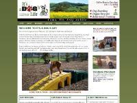  BOUTIQUE, ADOPT A DOG, RATES, &laquo;