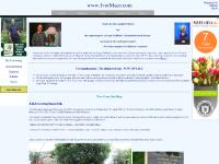 Chrysanthemums, Carnations, E-Books, Shows  Chrysanthemums, Carnations, E-Books, Shows