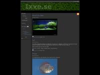 ixxe.se Diskus, akvarium, co2 ixxe.se Diskus, akvarium, co2