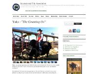 Tibetan Yak | Learn About Raising Yaks | Yak Association Tibetan Yak | Learn About Raising Yaks | Yak Association