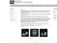 Izzy Wheeldon - Faith inspired, hand-crafted silver jewellery