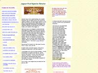 jaguarfuelinjectorservice.com fuel injector cleaning, fuel injector service, fuel injector testing