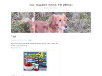 liten jaktgoldenvalpar.blogg.se skärmbild liten jaktgoldenvalpar.blogg.se skärmbild