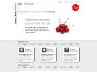  Work for us, Get in touch, SharePoint Developer / MOSS 2.., SharePoint Developer..