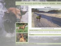 liten jaristo.se skärmbild liten jaristo.se skärmbild