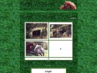  Liens, Contacte