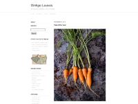 Ginkgo Leaves Ginkgo Leaves