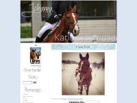 liten jojjiish.blogg.se skärmbild liten jojjiish.blogg.se skärmbild