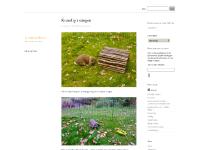 Joannas Blog Joannas Blog