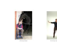 joosborne.com All things Horses, All Things Taijiwuxigong joosborne.com All things Horses, All Things Taijiwuxigong