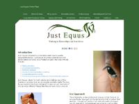 justequus.co.uk Just Equus, Riding Instructor, Horse Trainer
