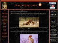 jvbigcats.co.za tiger, tigers, conservation jvbigcats.co.za tiger, tigers, conservation