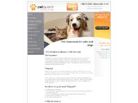  Instant cover, Policy benefits, Jargon buster, FAQs