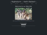 NIGHTSTORM : Tervuerens, Dobermann, Miniature Pinchers & Manchester Terriers NIGHTSTORM : Tervuerens, Dobermann, Miniature Pinchers & Manchester Terriers