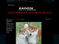 Kadota - Shiba Inu site