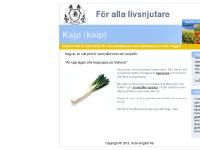 Gotland, kajpsoppa Gotland, kajpsoppa