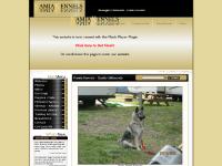 Norwegian Elkhounds - Kamia Kennels