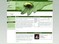 math tutor, tudor, math tudor, kamloops math tutor, tudor, math tudor, kamloops