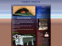 Kandy Kasts, Hypertufa Casting for Reptile Hides, Top Bar Bee Hives and more