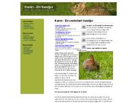  Ha flera kaniner, Inne eller utekanin, Kaninmat, Motion och tamhet