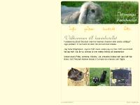 Kaninhotell Kaninhotell