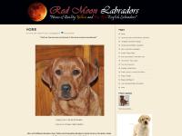 Red Moon Labradors Red Moon Labradors