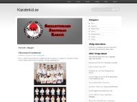 Robin Nyholm - Karatekid - Skelleftehamn Shotokan Karate Robin Nyholm - Karatekid - Skelleftehamn Shotokan Karate