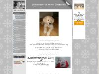 Förstasidan - www.kennel-dexterous.se Förstasidan - www.kennel-dexterous.se