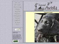 statistik för kennelavista - :: KENNEL AVISTA - Flatcoated retriever :: statistik för kennelavista - :: KENNEL AVISTA - Flatcoated retriever ::