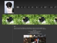 Kennel Bägbys - Hem Kennel Bägbys - Hem