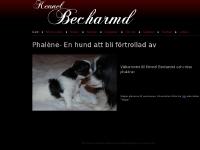 liten kennelbecharmd.se skärmbild liten kennelbecharmd.se skärmbild