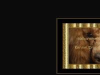 Välkommen till Pudelmia och kennel Drop-Dead Gorgeous Välkommen till Pudelmia och kennel Drop-Dead Gorgeous