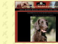 :: KENNEL DUCKPOND - Golden & Flatcoated retrievers :: :: KENNEL DUCKPOND - Golden & Flatcoated retrievers ::