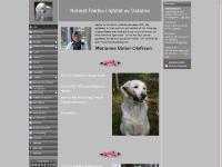 liten kennelfairfax.se skärmbild