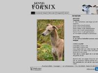 Fornix - Whippet sedan 1982