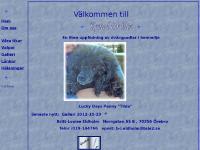 Kennel Lobitz Kennel Lobitz