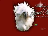 liten kennelnoon.com skärmbild