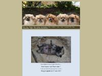 Links, Guestbook, Export, Upcoming STARS  Links, Guestbook, Export, Upcoming STARS