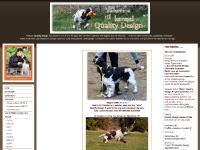 k e n n e l q u a l i t y d e s i g n k e n n e l q u a l i t y d e s i g n