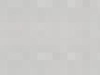 kennelseamrog.se seamrog, wheaten, utställningar