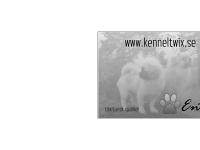 Kennel Twix ~ Tibetansk spaniel Kennel Twix ~ Tibetansk spaniel