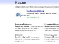 Data Mjukvara Programvara, Städservice, Uthyrning, Tapetserare Tapetserarmästare  Data Mjukvara Programvara, Städservice, Uthyrning, Tapetserare Tapetserarmästare